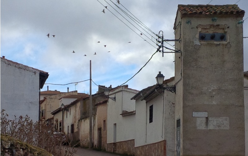 las escuelas de ciria